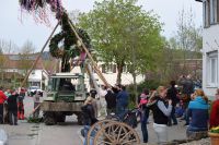 2016-04-30 Maibaum stellen 015 (DSC_0275)